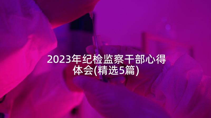 2023年纪检监察干部心得体会(精选5篇)