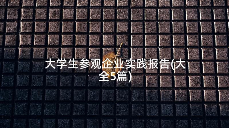 大学生参观企业实践报告(大全5篇)