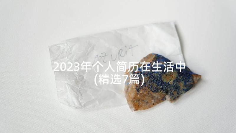 2023年个人简历在生活中(精选7篇)