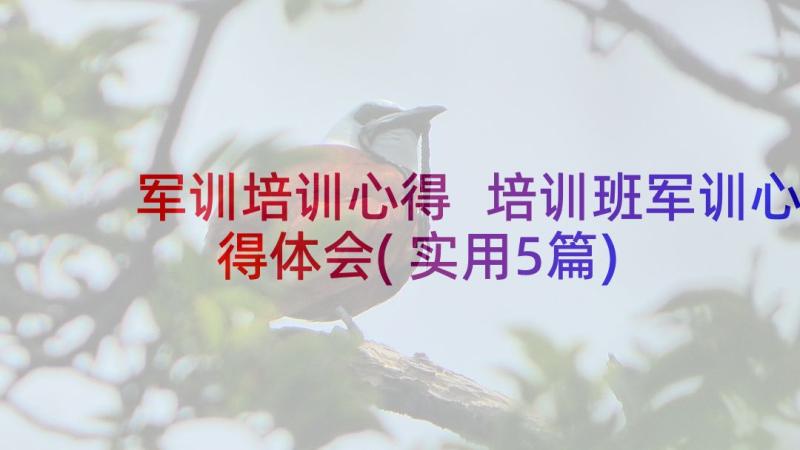 军训培训心得 培训班军训心得体会(实用5篇)