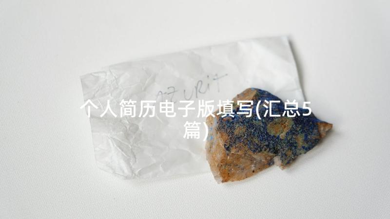 个人简历电子版填写(汇总5篇)