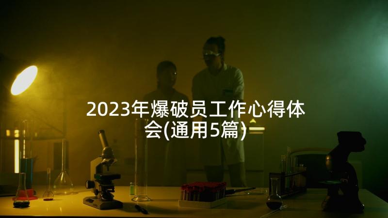 2023年爆破员工作心得体会(通用5篇)