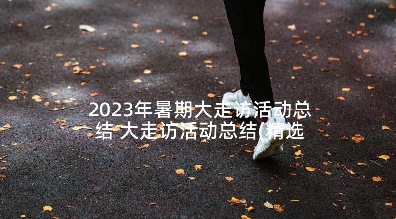 2023年暑期大走访活动总结 大走访活动总结(精选9篇)