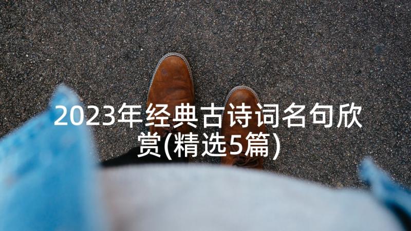 2023年经典古诗词名句欣赏(精选5篇)