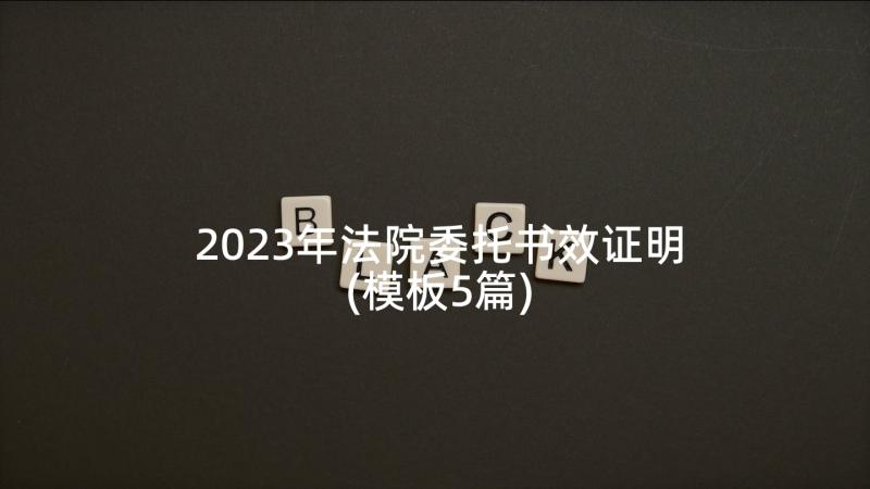 2023年法院委托书效证明(模板5篇)