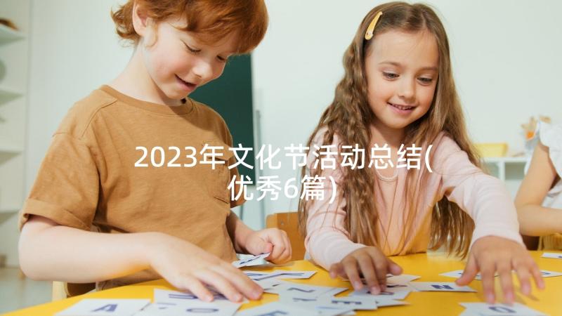 2023年文化节活动总结(优秀6篇)