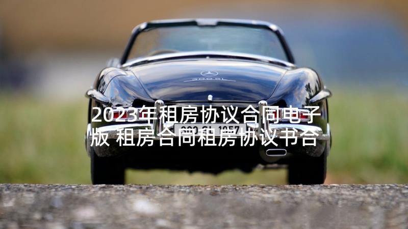 2023年租房协议合同电子版 租房合同租房协议书合同电子版(优质5篇)