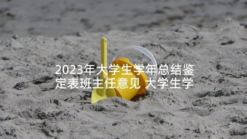 2023年大学生学年总结鉴定表班主任意见 大学生学年鉴定表系部意见(优质5篇)