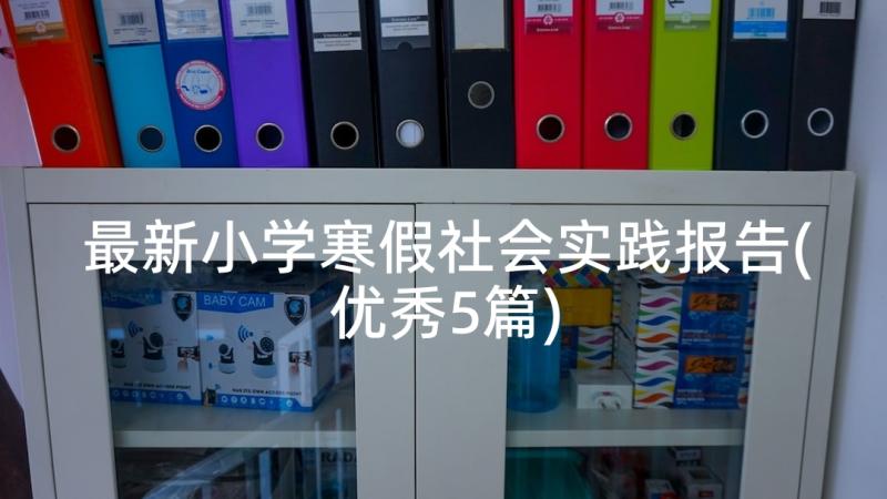 最新小学寒假社会实践报告(优秀5篇)