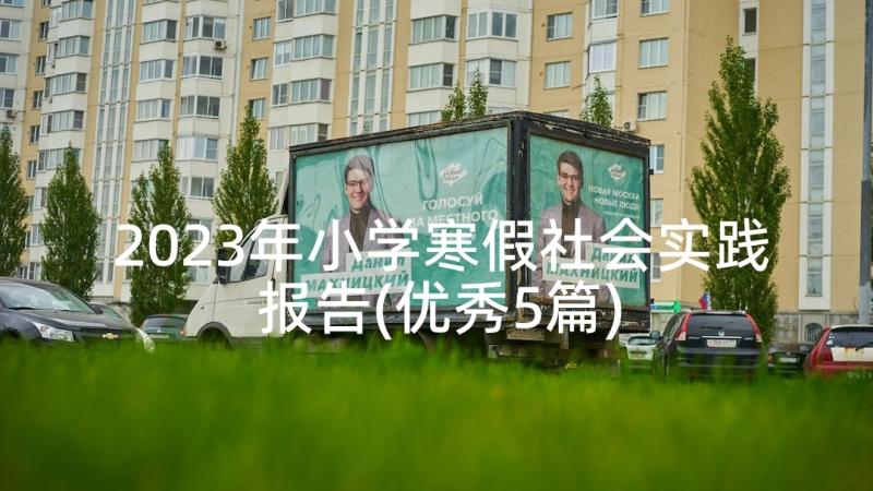 2023年小学寒假社会实践报告(优秀5篇)