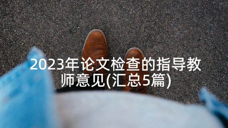 2023年论文检查的指导教师意见(汇总5篇)