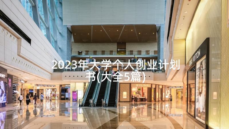 2023年大学个人创业计划书(大全5篇)