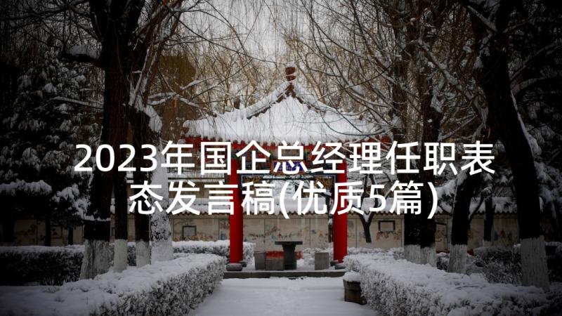 2023年国企总经理任职表态发言稿(优质5篇)