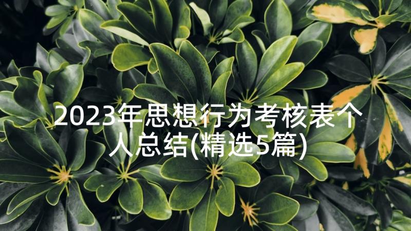 2023年思想行为考核表个人总结(精选5篇)