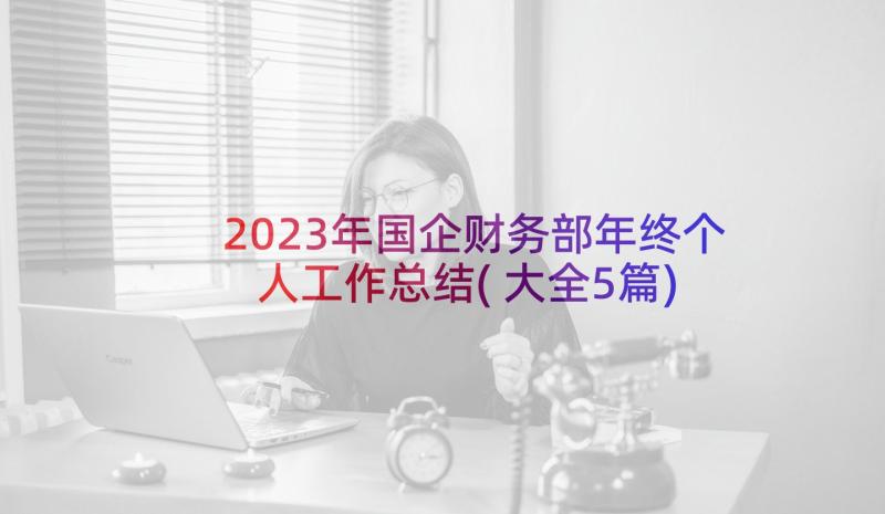 2023年国企财务部年终个人工作总结(大全5篇)