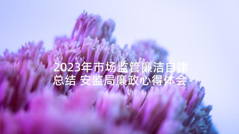 2023年市场监管廉洁自律总结 安监局廉政心得体会(精选9篇)