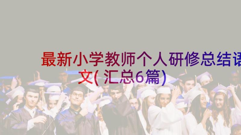 最新小学教师个人研修总结语文(汇总6篇)