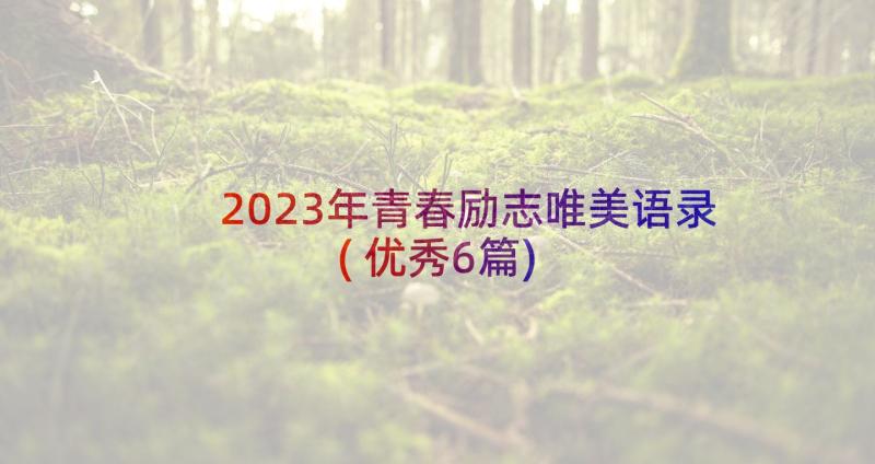 2023年青春励志唯美语录(优秀6篇)