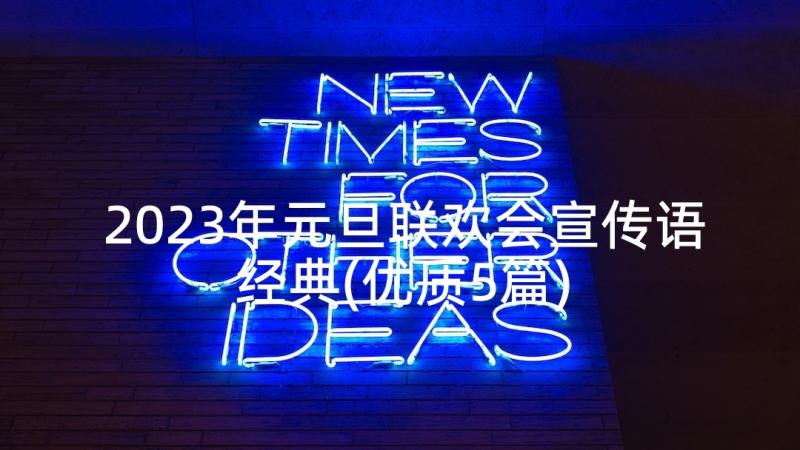 2023年元旦联欢会宣传语经典(优质5篇)