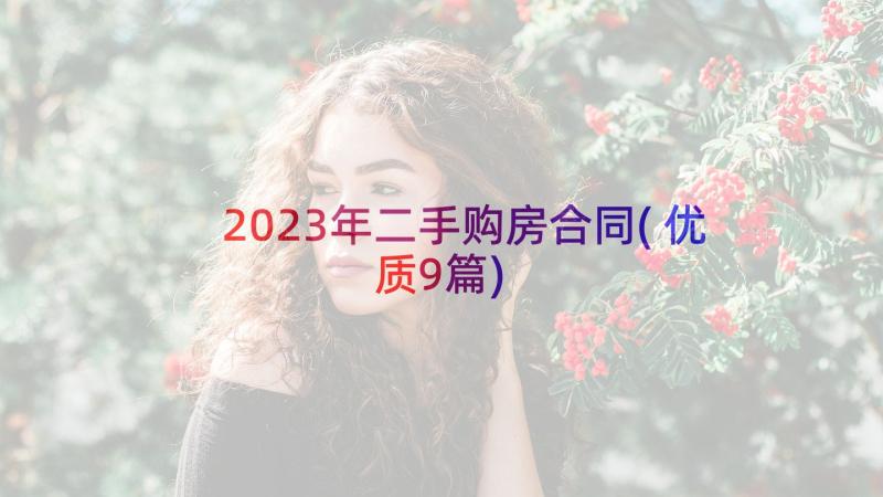 2023年二手购房合同(优质9篇)