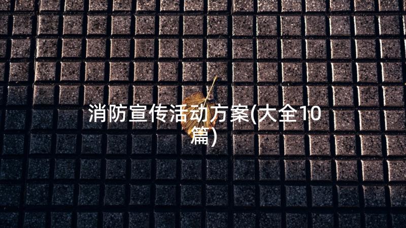 消防宣传活动方案(大全10篇)