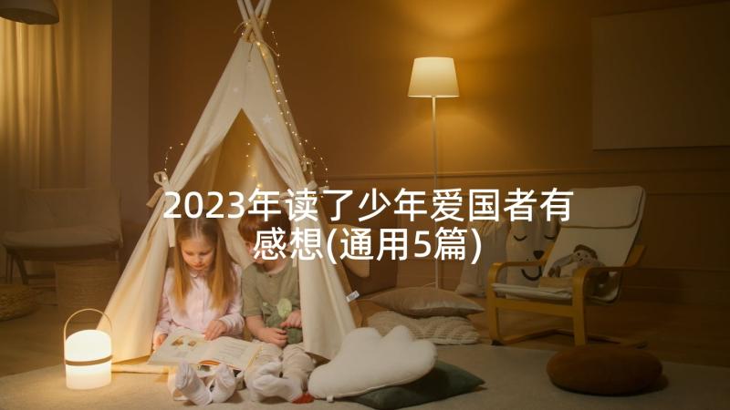 2023年读了少年爱国者有感想(通用5篇)