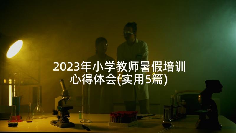 2023年小学教师暑假培训心得体会(实用5篇)