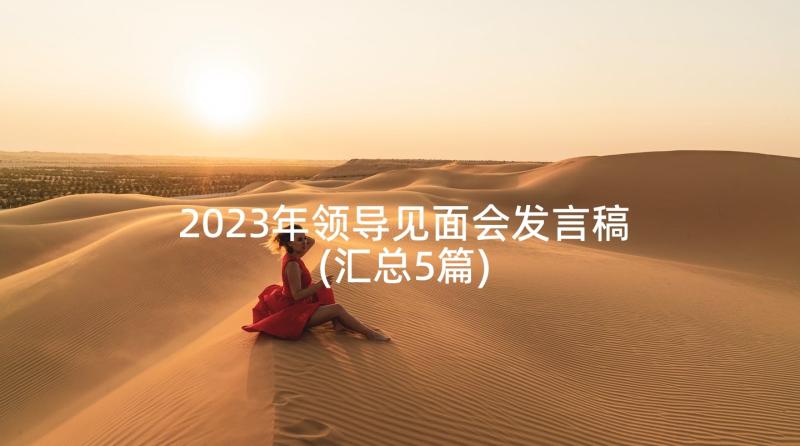 2023年领导见面会发言稿(汇总5篇)