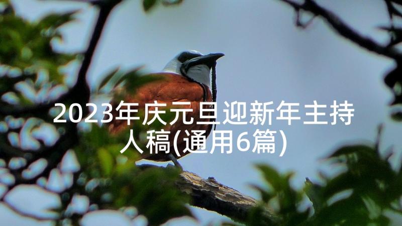 2023年庆元旦迎新年主持人稿(通用6篇)