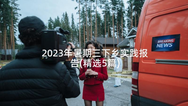 2023年暑期三下乡实践报告(精选5篇)