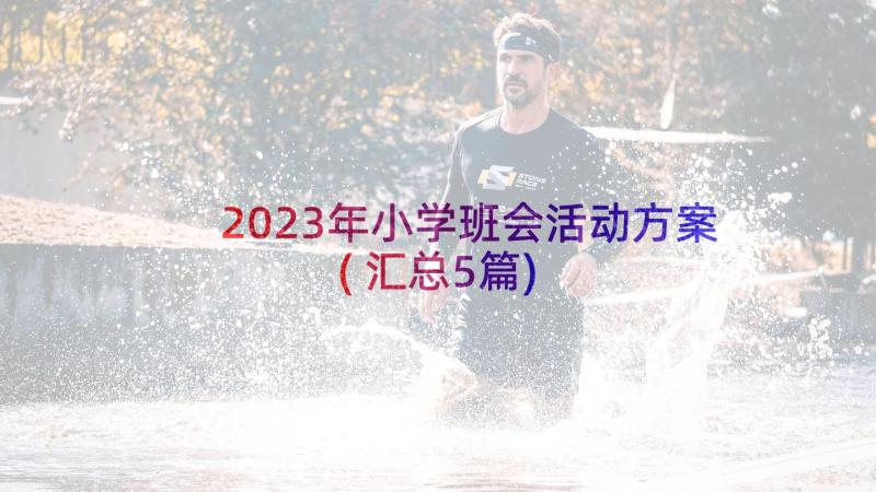 2023年小学班会活动方案(汇总5篇)