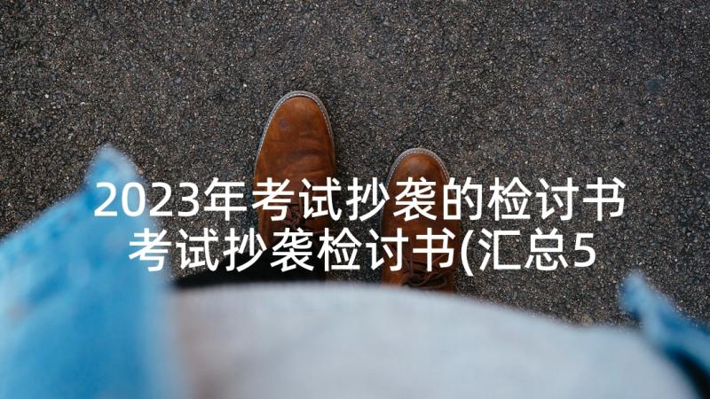 2023年考试抄袭的检讨书 考试抄袭检讨书(汇总5篇)