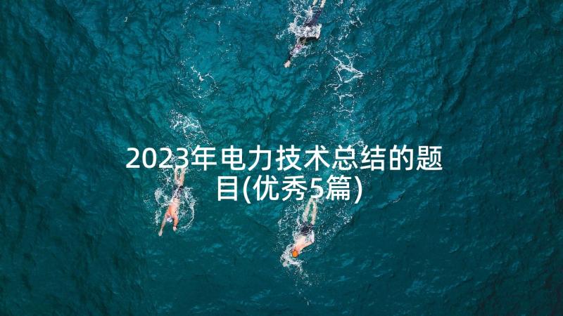 2023年电力技术总结的题目(优秀5篇)