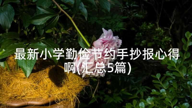 最新小学勤俭节约手抄报心得啊(汇总5篇)