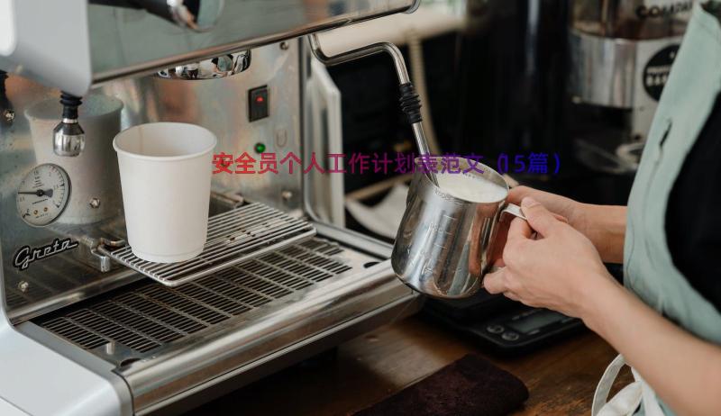 安全员个人工作计划表范文（15篇）