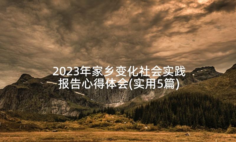 2023年家乡变化社会实践报告心得体会(实用5篇)