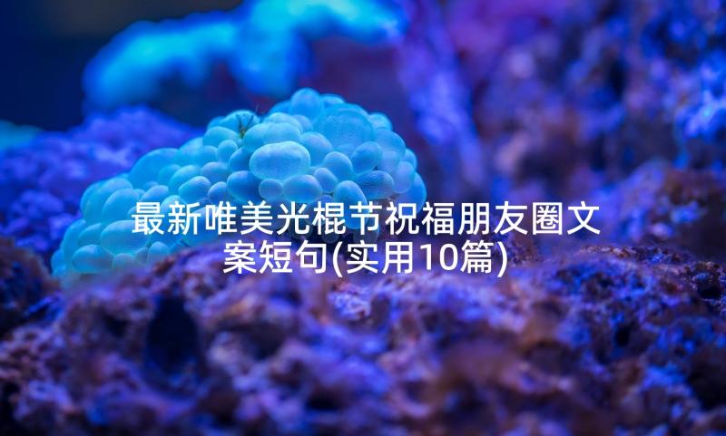 最新唯美光棍节祝福朋友圈文案短句(实用10篇)