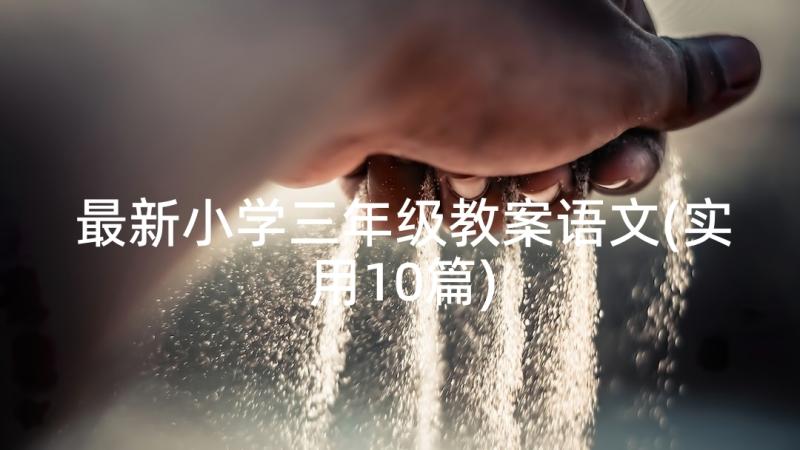 最新小学三年级教案语文(实用10篇)