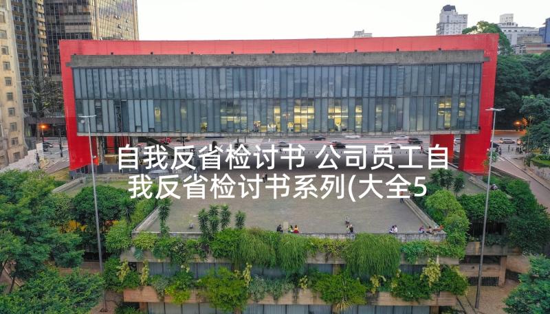 自我反省检讨书 公司员工自我反省检讨书系列(大全5篇)