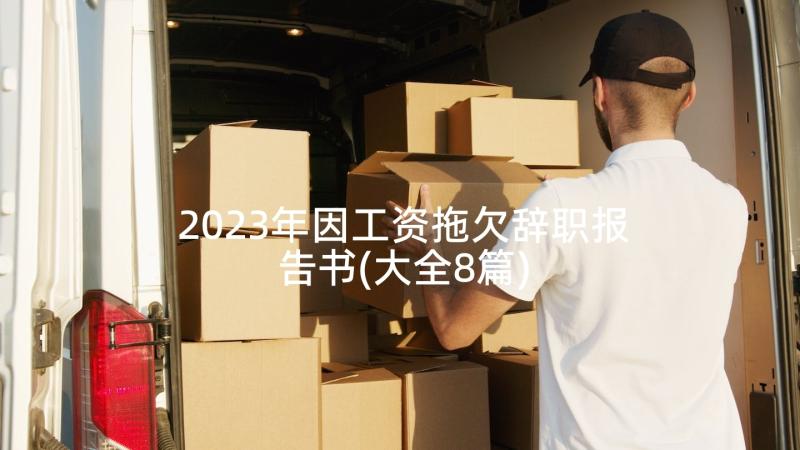 2023年因工资拖欠辞职报告书(大全8篇)