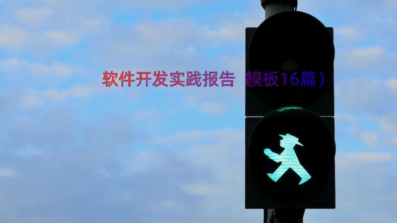 软件开发实践报告（模板16篇）