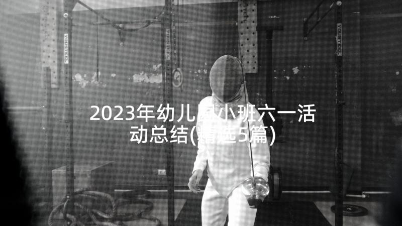 2023年幼儿园小班六一活动总结(精选5篇)