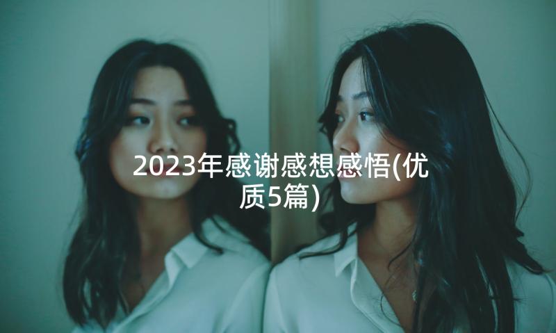 2023年感谢感想感悟(优质5篇)