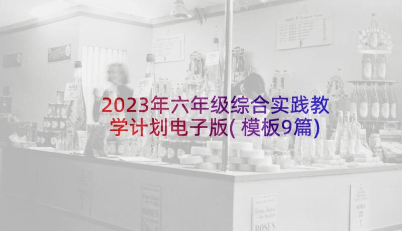 2023年六年级综合实践教学计划电子版(模板9篇)