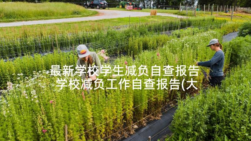 最新学校学生减负自查报告 学校减负工作自查报告(大全5篇)