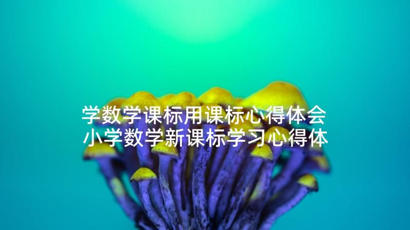 学数学课标用课标心得体会 小学数学新课标学习心得体会(实用5篇)