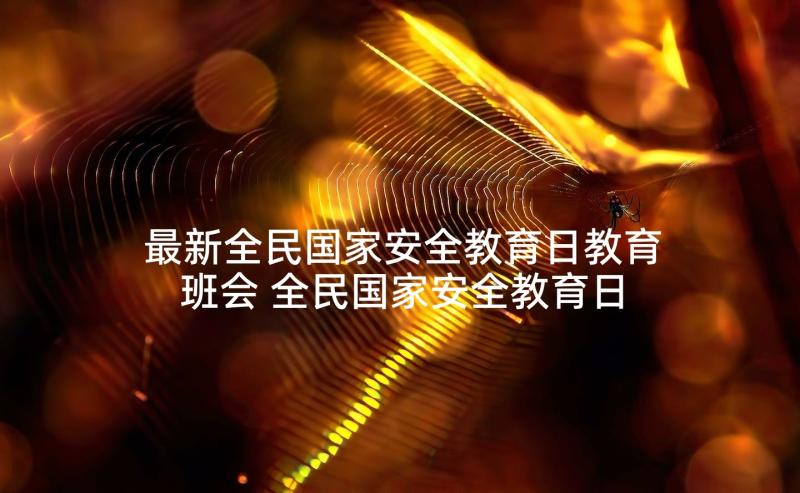 最新全民国家安全教育日教育班会 全民国家安全教育日班会发言稿(通用5篇)