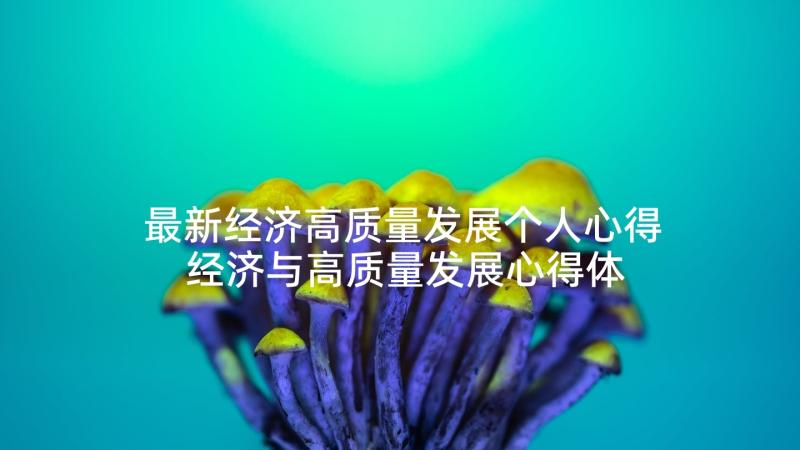 最新经济高质量发展个人心得 经济与高质量发展心得体会(优秀5篇)