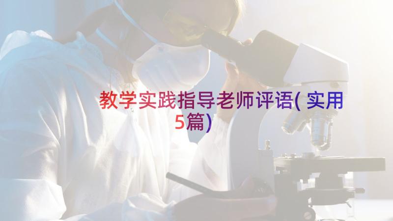 教学实践指导老师评语(实用5篇)