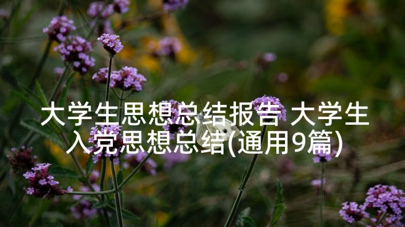 大学生思想总结报告 大学生入党思想总结(通用9篇)